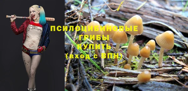 ГАЛЛЮЦИНОГЕННЫЕ ГРИБЫ Алзамай