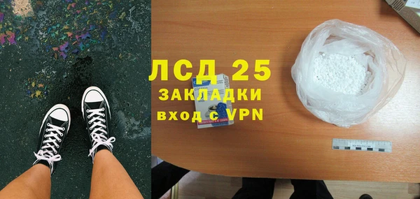ГАЛЛЮЦИНОГЕННЫЕ ГРИБЫ Алзамай
