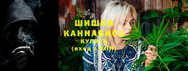 ГАЛЛЮЦИНОГЕННЫЕ ГРИБЫ Алзамай