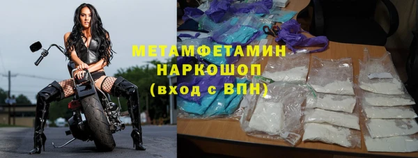 ГАЛЛЮЦИНОГЕННЫЕ ГРИБЫ Алзамай