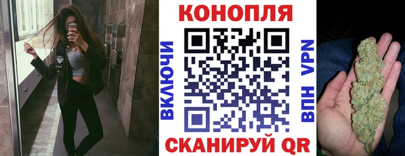 Конопля гибрид  Усмань 
